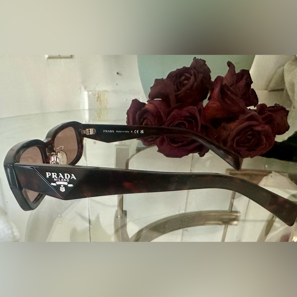 Prada Women's Tortoise Brown Sunglasses
